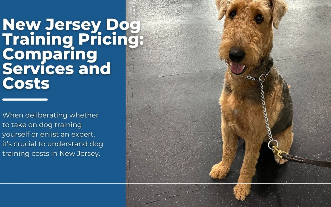 New Jersey Dog Training Pricing: Comparing Services and Costs